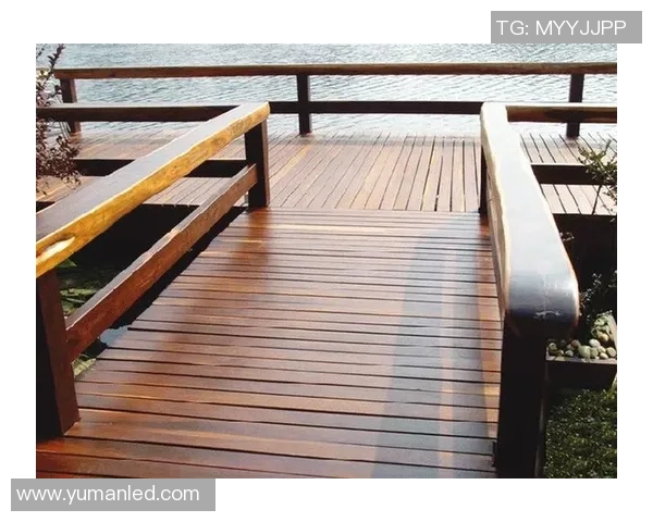 防腐木材的应用与维护技巧解析提升木材耐用性与环保性能的有效方法