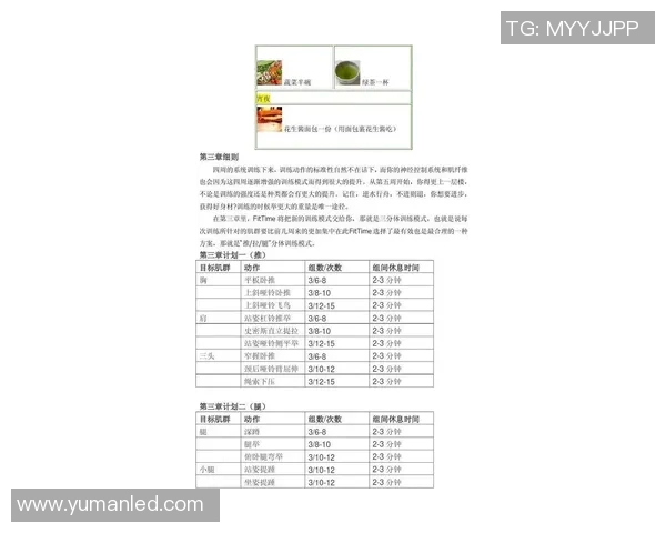 提升力量与健康：从基础训练到高效健身计划全攻略